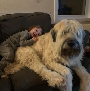 Meet your Posher, Polly